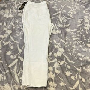 NWT DG2 Diane Gilman Skinny Jeans- Zip Up Stretch in winter white SZ 22W